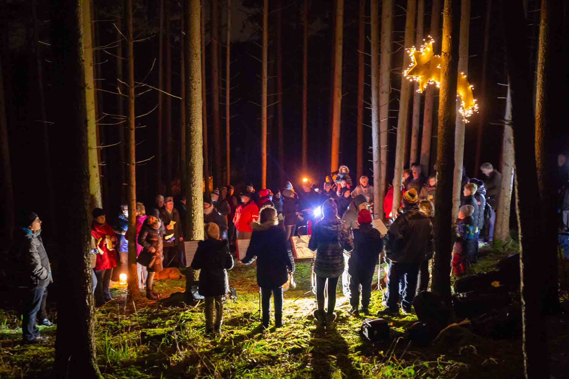 Read more about the article Waldweihnacht 2018