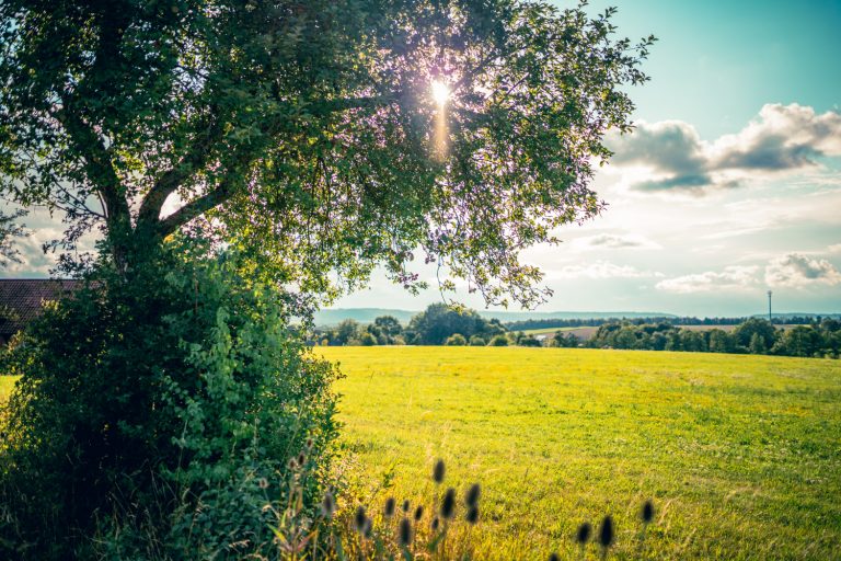 Die Sonne scheint über Breitenau nach einem Sommer-Regen. Grüne Wiesen im Vordergrund.