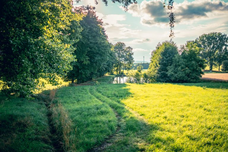 Blick auf einen Weiher bei Breitenau. Grüne Wiesen und blauer Himmel mit einigen Regenwolken