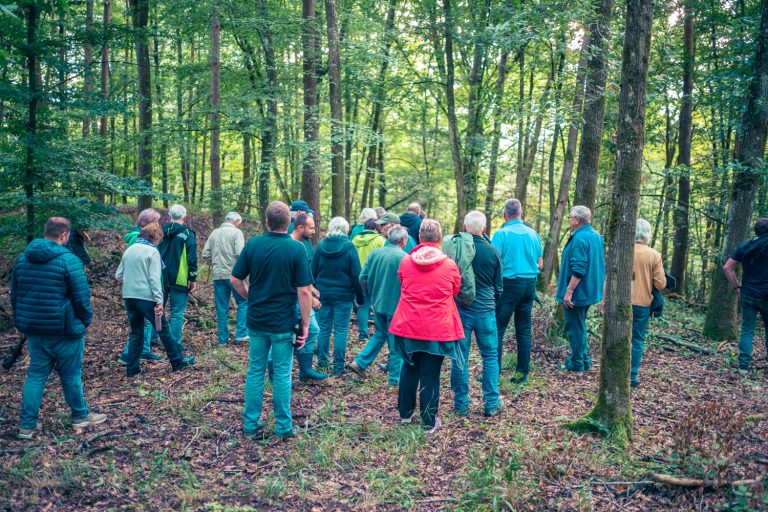 Die Teilnehmer der Schlossbergwanderung 2025 auf einem Hügel im Wald bei Breitenau.
