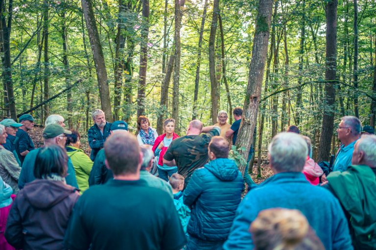 Die Teilnehmer der Schlossbergwanderung 2025 auf einem Hügel im Wald bei Breitenau.