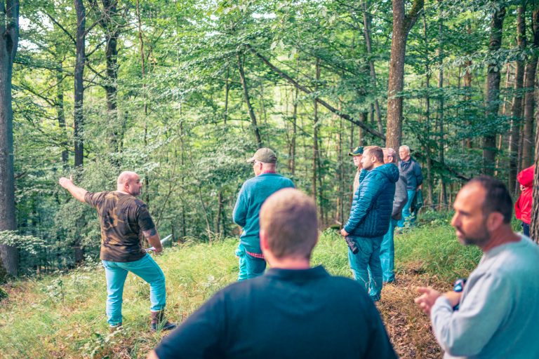 Die Teilnehmer der Schlossbergwanderung 2025 auf einem Hügel im Wald bei Breitenau.