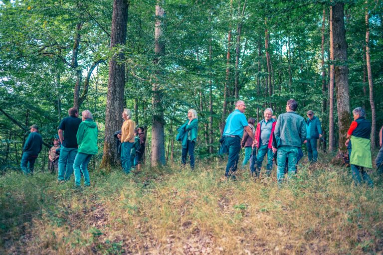 Die Teilnehmer der Schlossbergwanderung 2025 auf einem Hügel im Wald bei Breitenau.