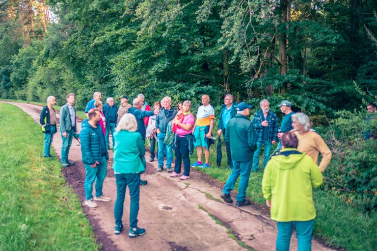 Die Teilnehmer der Schlossbergwanderung 2025 auf einem Waldweg